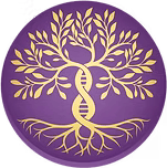 centre wassa logo ben nkouka 2 centre wassa logo ben nkouka 2