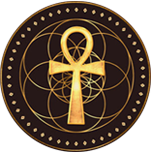 ngimokili_logo ngimokili_logo